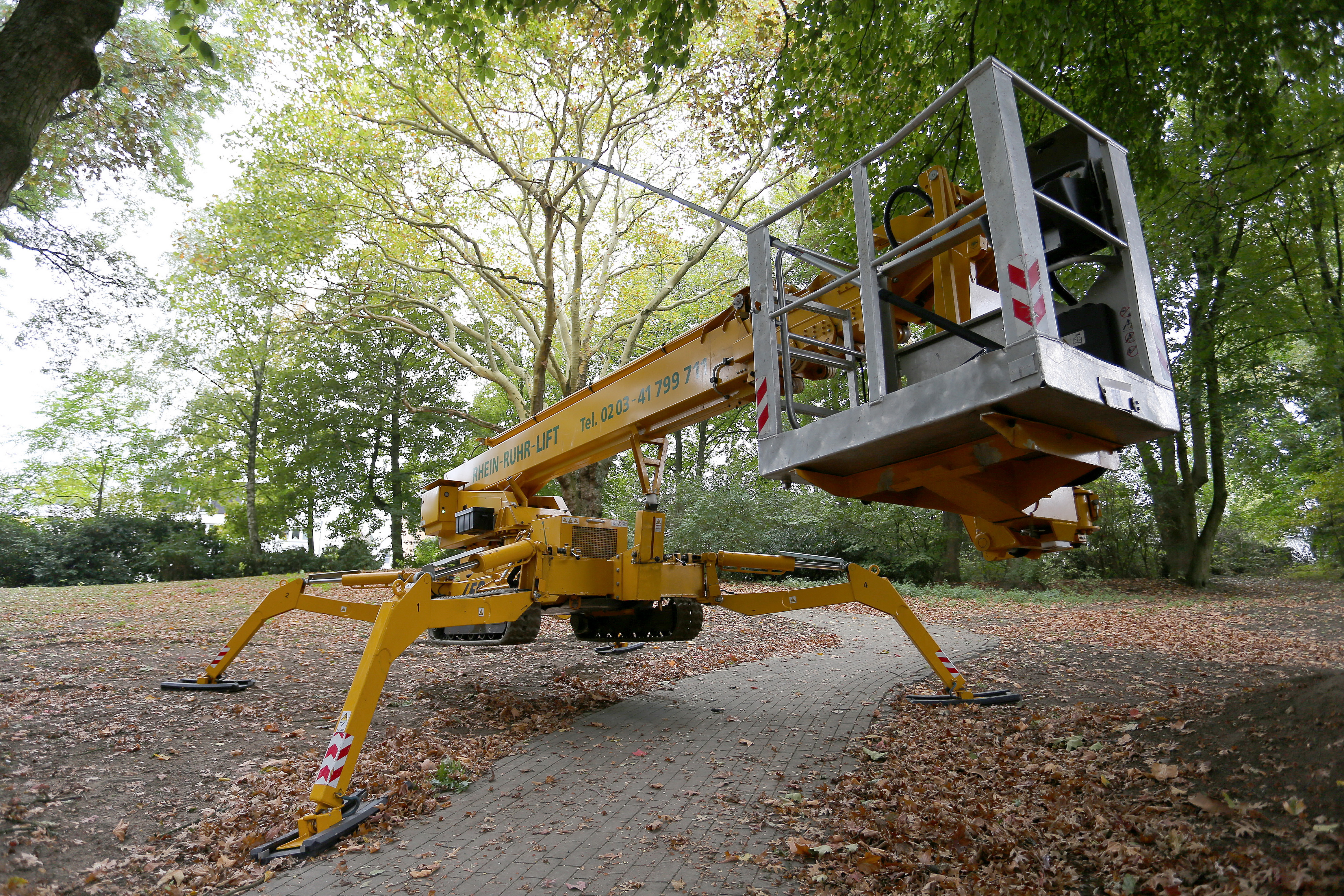 baumdienst holz & grün skibba gmbh